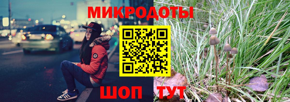 Псилоцибиновые грибы прущие грибы Губаха