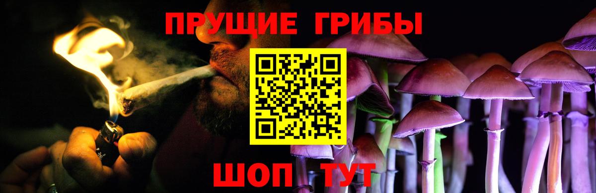 Галлюциногенные грибы Cubensis  Вход с VPN  Губаха 